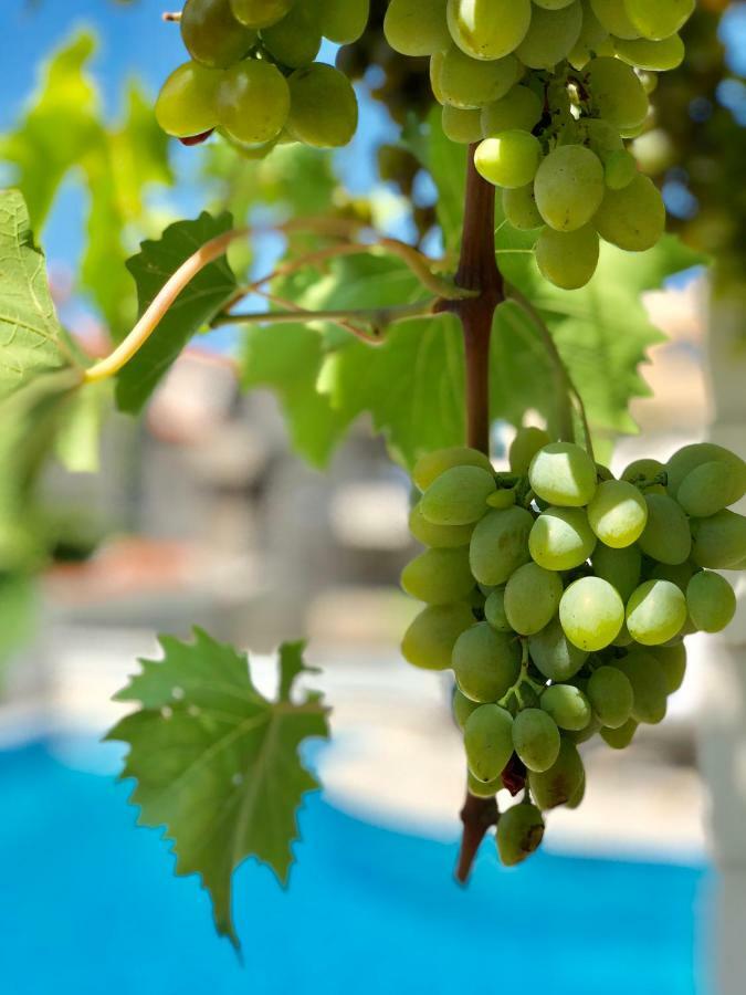 Apartment Dalmatien Traumhaus Makarska Ngoại thất bức ảnh